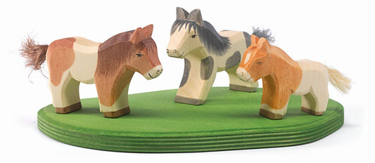 Ostheimer Shetland Pony stehend