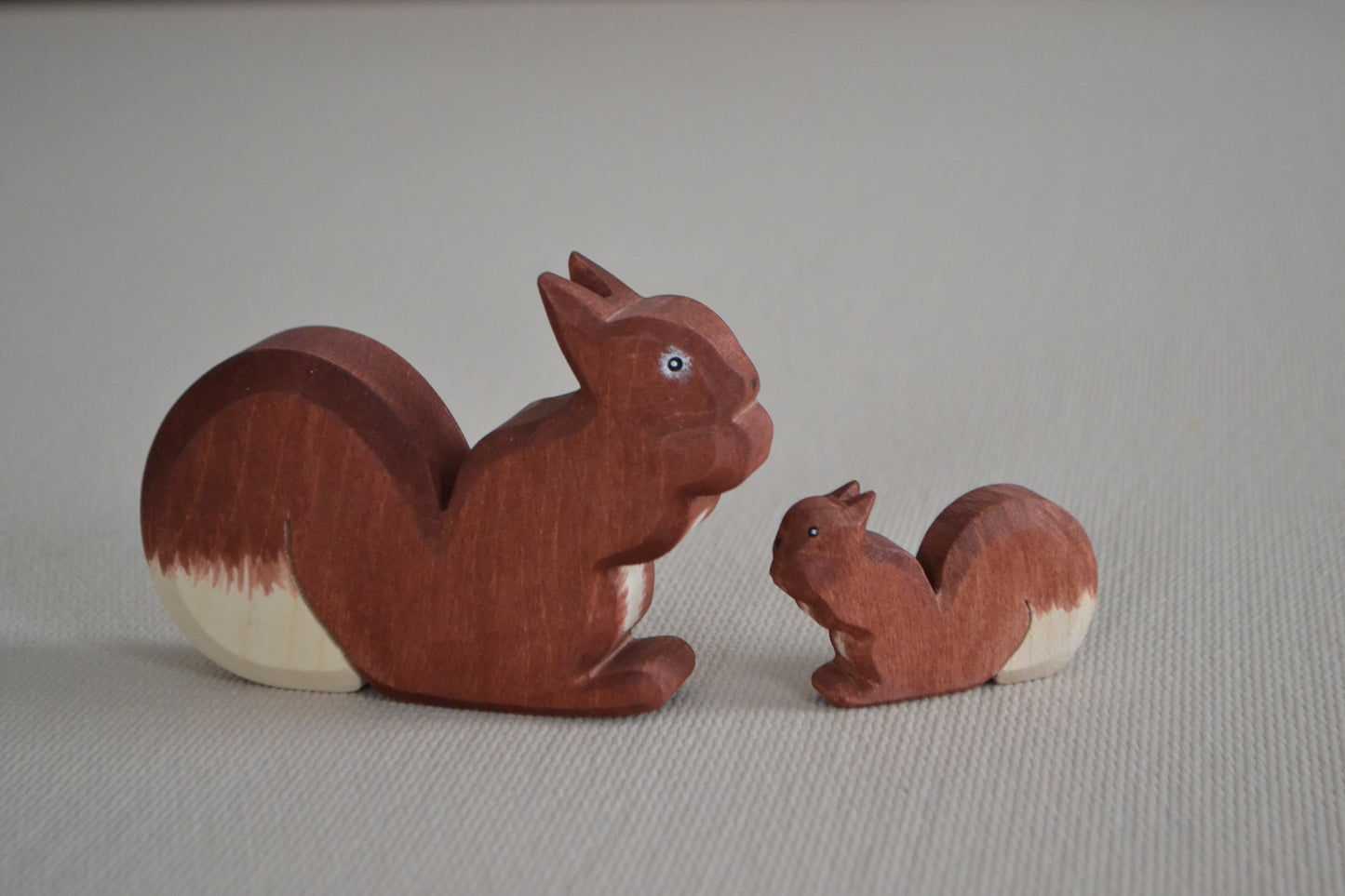 Eichhörnchen groß