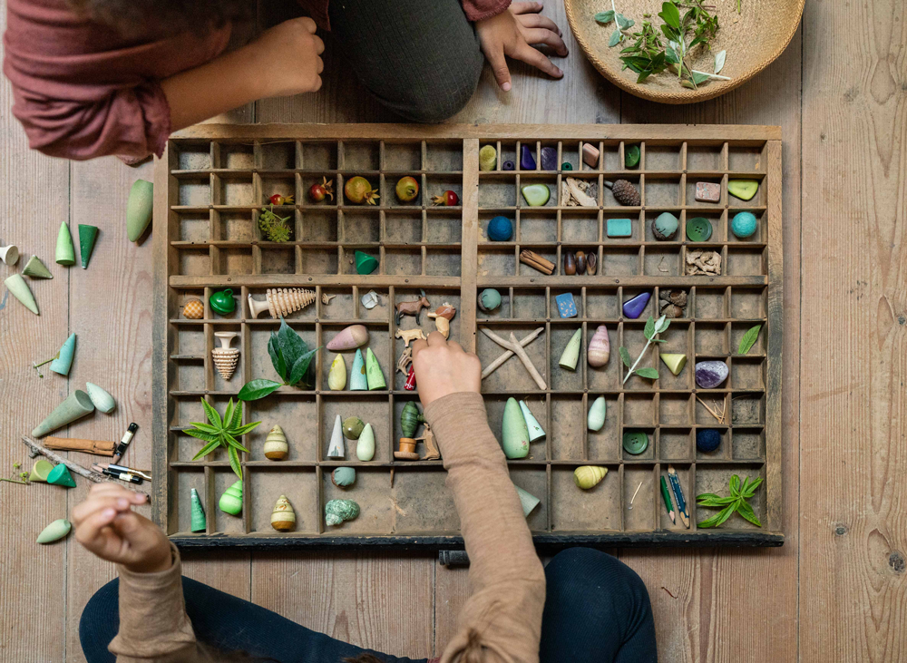 Grapat Forest Tree