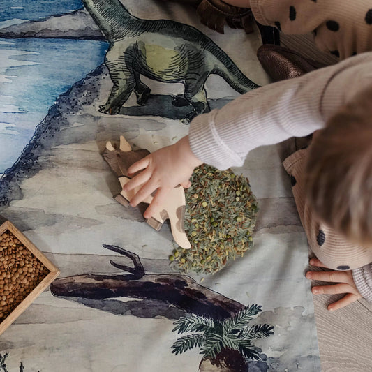 The Wonderie - Land vor unserer Zeit