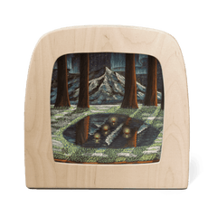 Lichterkarte -Februar von Nathaniel Santa Cruz