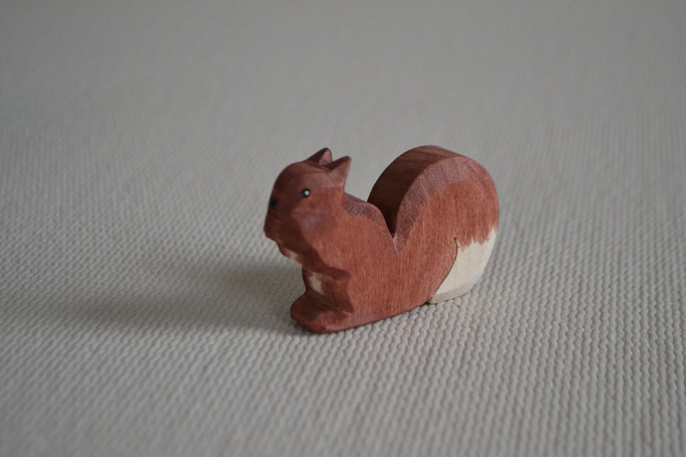 Eichhörnchen klein