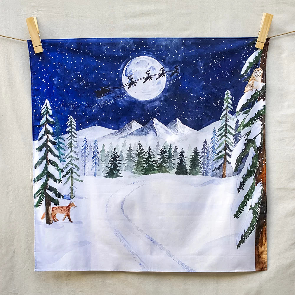 The Wonderie - Eine sternenklare Winternacht