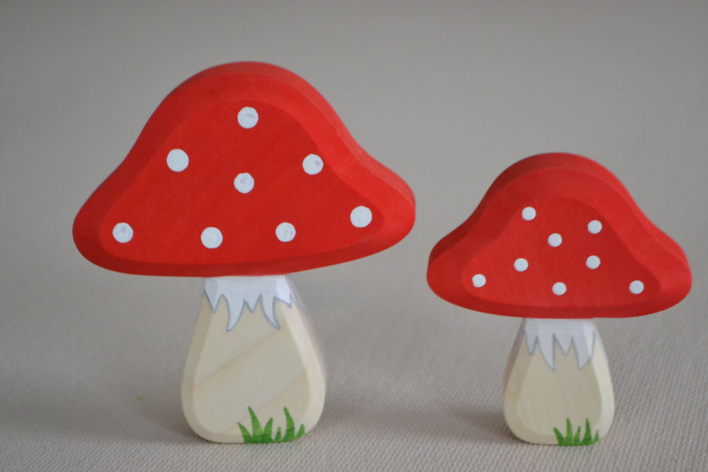 Fliegenpilz